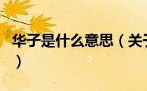 华子是什么意思（关于华子是什么意思的介绍）