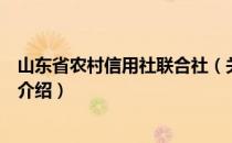 山东省农村信用社联合社（关于山东省农村信用社联合社的介绍）