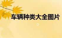车辆种类大全图片（车辆种类是什么）