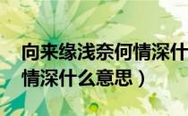 向来缘浅奈何情深什么意思（向来缘浅 奈何情深什么意思）