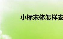 小标宋体怎样安装（小标宋体）