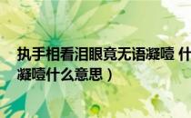 执手相看泪眼竟无语凝噎 什么意思（执手相看泪眼 竟无语凝噎什么意思）