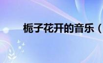栀子花开的音乐（栀子花开的歌词）