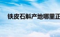 铁皮石斛产地哪里正宗（铁皮石斛产地）
