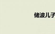 储波儿子（储波）