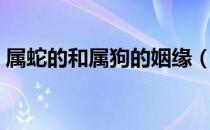 属蛇的和属狗的姻缘（属蛇的和属狗的配吗）