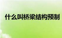 什么叫桥梁结构预制（什么叫桥梁湿接头）