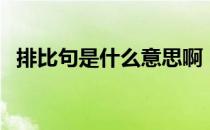 排比句是什么意思啊（排比句是什么意思）