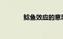 鲶鱼效应的意思（鲶鱼效应）