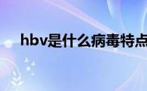hbv是什么病毒特点（hbv是什么病毒）