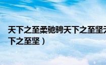 天下之至柔驰骋天下之至坚无有入无间（天下之至柔驰骋天下之至坚）