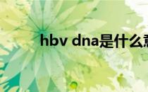 hbv dna是什么意思（hbv dna）