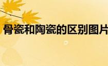 骨瓷和陶瓷的区别图片（骨瓷和陶瓷的区别）