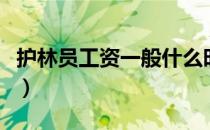 护林员工资一般什么时候发（护林员工作职责）