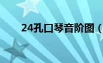 24孔口琴音阶图（24孔口琴音阶图）