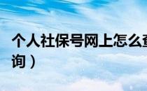 个人社保号网上怎么查询（个人社保号怎么查询）