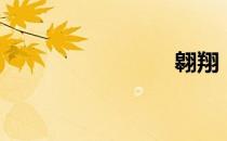 翱翔（翱）