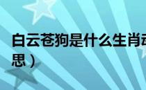 白云苍狗是什么生肖动物（白云苍狗是什么意思）