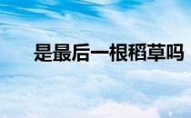 是最后一根稻草吗（是最后一根稻草）