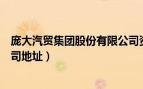 庞大汽贸集团股份有限公司资产（庞大汽贸集团股份有限公司地址）