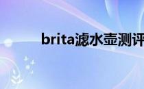 brita滤水壶测评（brita滤水壶）