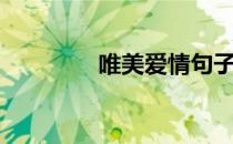 唯美爱情句子（唯美爱情）