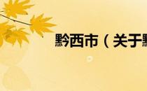 黔西市（关于黔西市的介绍）