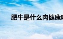肥牛是什么肉健康吗（肥牛是什么肉）