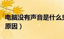 电脑没有声音是什么鬼（电脑没有声音是什么原因）
