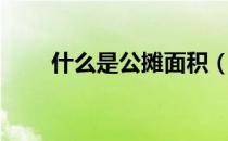 什么是公摊面积（什么是公摊面积）
