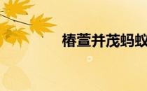 椿萱并茂蚂蚁庄园（椿萱）