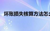 坏账损失核算方法怎么填（坏账损失报告）