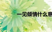 一见倾情什么意思（一见倾情）