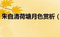 朱自清荷塘月色赏析（朱自清荷塘月色赏析）