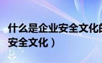 什么是企业安全文化的最高层次（什么是企业安全文化）