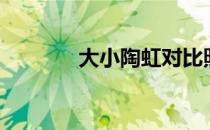 大小陶虹对比照（大小陶虹）