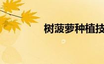 树菠萝种植技术（树菠萝）