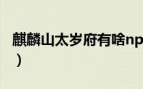 麒麟山太岁府有啥npc（麒麟山太岁符有几个）
