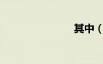 其中（其中）