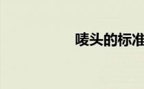唛头的标准格式（唛）