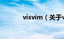 visvim（关于visvim的介绍）