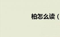 柏怎么读（柏怎么读）