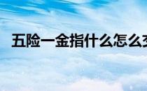五险一金指什么怎么交（五险一金指什么）