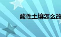 酸性土壤怎么改良（酸性土壤）