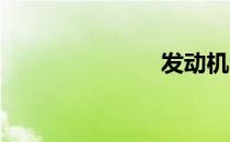 发动机清洁剂
