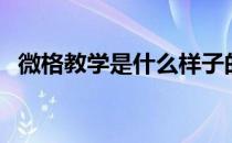 微格教学是什么样子的（微格教学是什么）
