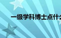 一级学科博士点什么意思（一级学科）