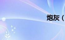 炮灰（炮灰）