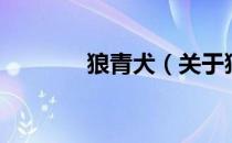 狼青犬（关于狼青犬的介绍）