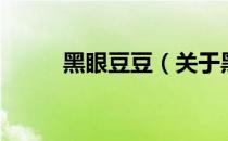 黑眼豆豆（关于黑眼豆豆的介绍）